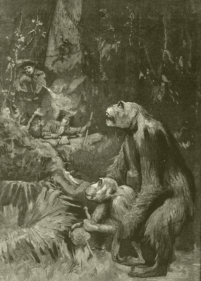 Home of the Gorilla (engraving) by English School