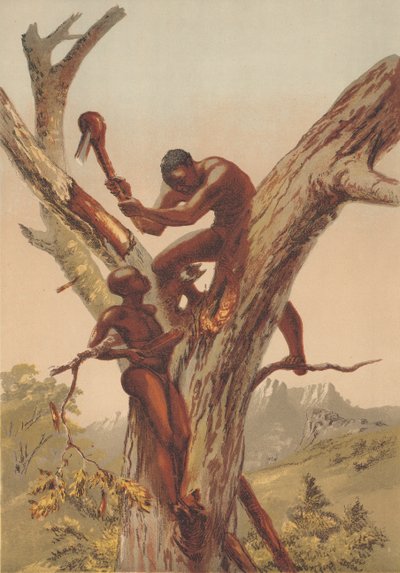 Honey Hunters, Zambezia by English School