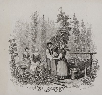 Hop Garden by English School