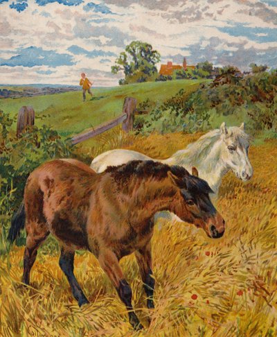 Horses in a Cornfield by English School