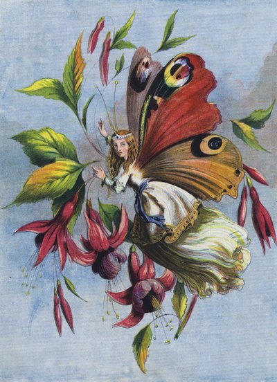 How Lady Butterfly Spent the Day by English School
