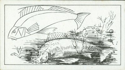 How to Sketch: The Perch by English School