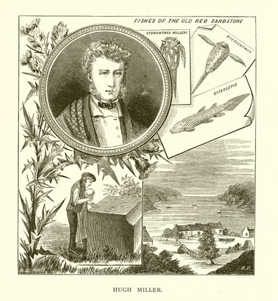 Hugh Miller by English School
