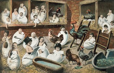 Human babies hatching from chicken eggs by English School