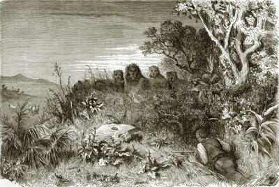 Hunter and Lions by English School