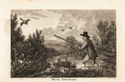 Hunter with water spaniels shooting wild ducks in the marshes by English School