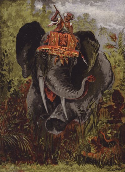 Hunting tigers on elephants, India by English School