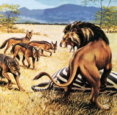 Hyenas Coming to Clear Up After a Lion by English School