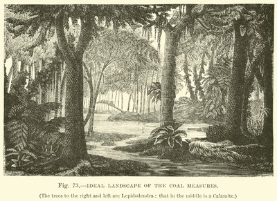 Ideal Landscape of the Coal Measures by English School