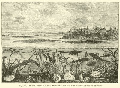Ideal View of the Marine Life of the Carboniferous System by English School
