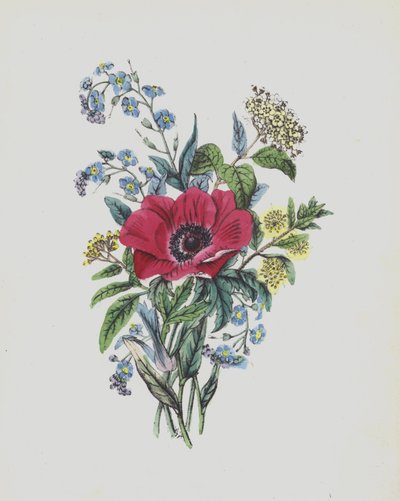 Illustration for Moss Rose Album by English School