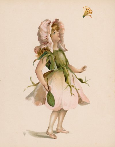 Illustration for The Language of Flowers by English School