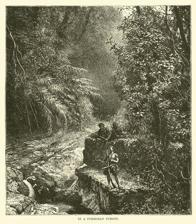 In a Formosan Forest by English School