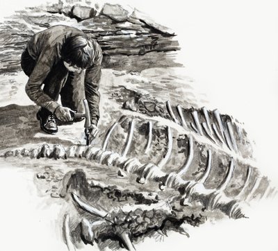 In the Days of the Dinosaurs: Battle of the Giants by English School