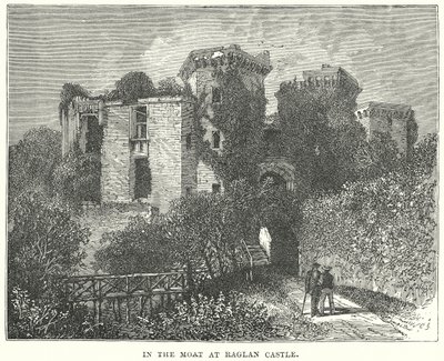 In the Moat at Raglan Castle by English School