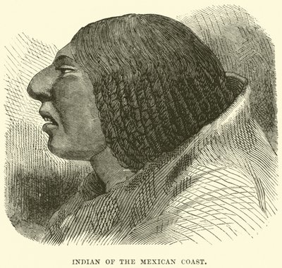 Indian of the Mexican Coast by English School