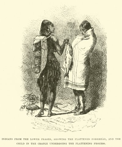 Indians from the Lower Fraser, showing the flattened forehead, and the child in the cradle undergoing the flattening process by English School