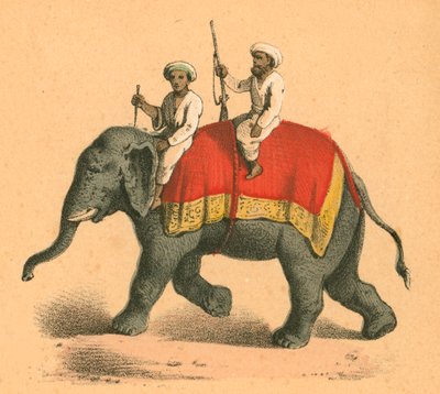 Indians on an elephant by English School