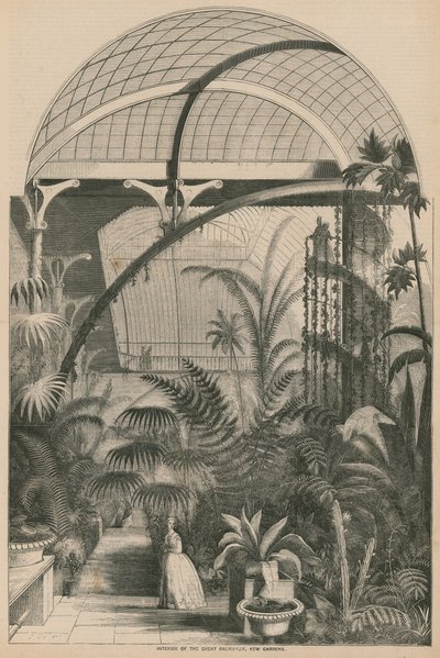 Interior of the Great Palmarum, Kew Gardens, London by English School