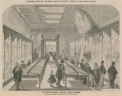 Interior View of the New Botanical Gallery by English School