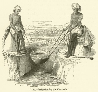 Irrigation by the Ckutweh by English School
