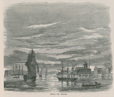 Isle of Dogs by English School