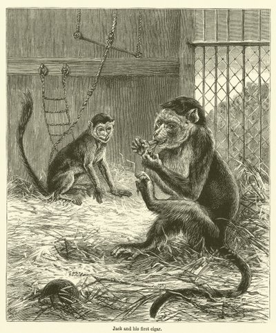 Jack and His First Cigar by English School