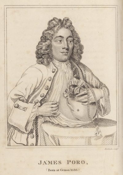 James Poro, Born at Genoa 1686 by English School