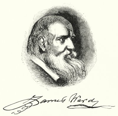 James Ward by English School