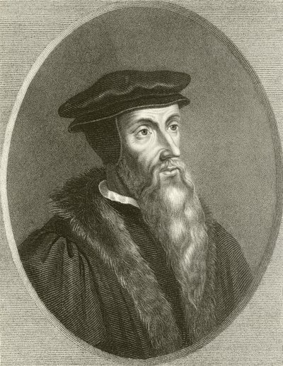 John Calvin by English School