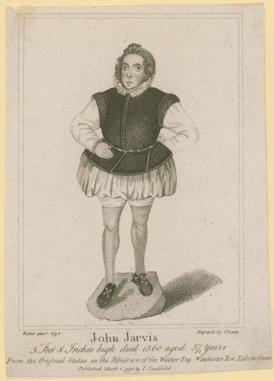 John Jarvis by English School