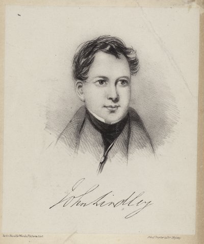 John Lindley by English School