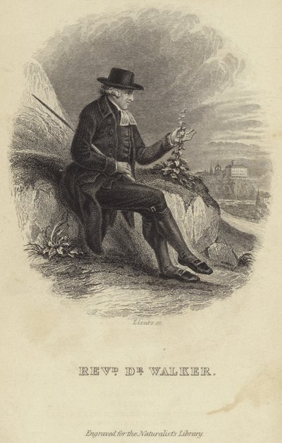 John Walker by English School