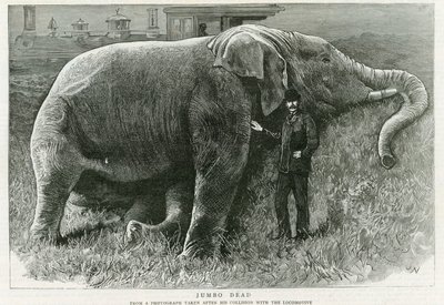 Jumbo, dead by English School