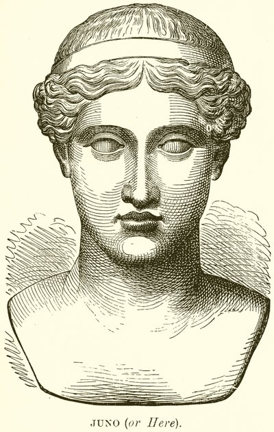 Juno (or Here) by English School