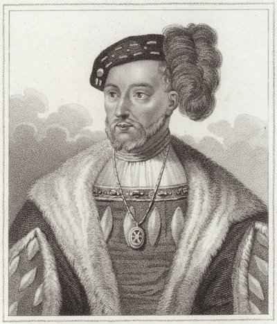 King James V by English School