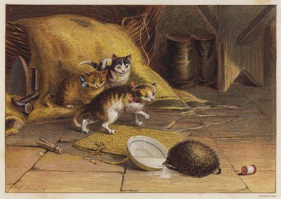 Kittens baffled by a hedgehog by English School