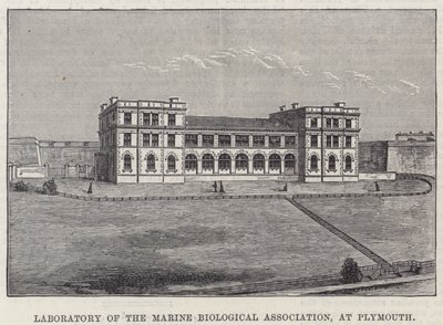 Laboratory of the Marine Biological Association, at Plymouth by English School