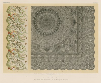 Lace by English School