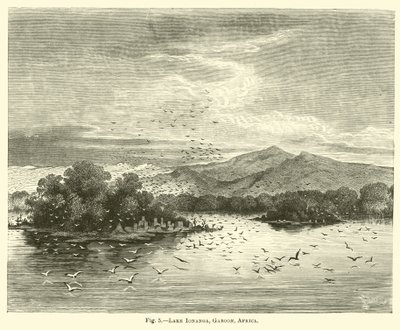Lake Ionanga, Gaboon, Africa by English School
