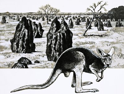 Large termite mounds near Darwin, Australia, and a kangaroo in foreground by English School