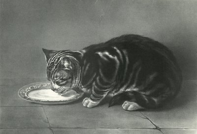 The Glutton by English School