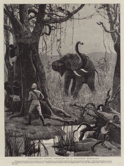 Lieutenant Stairs charged by a Wounded Elephant by English School