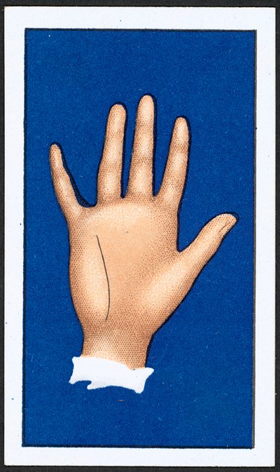 Line of Intuition by English School
