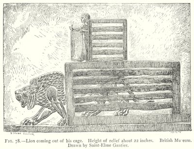 Lion Coming Out of His Cage by English School