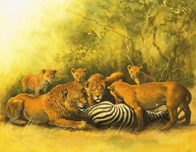 Lions Feeding on a Zebra Carcass by English School