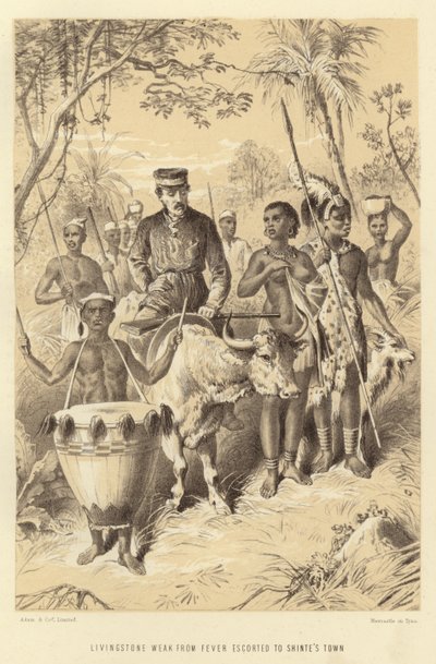 Livingstone Weak from Fever Escorted to Shinte