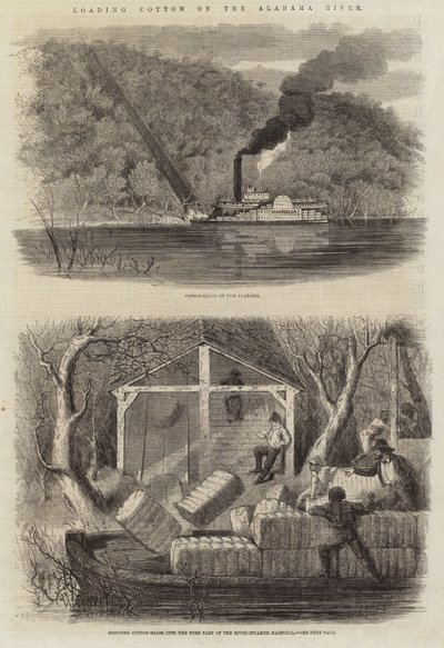 Loading Cotton on the Alabama River by English School