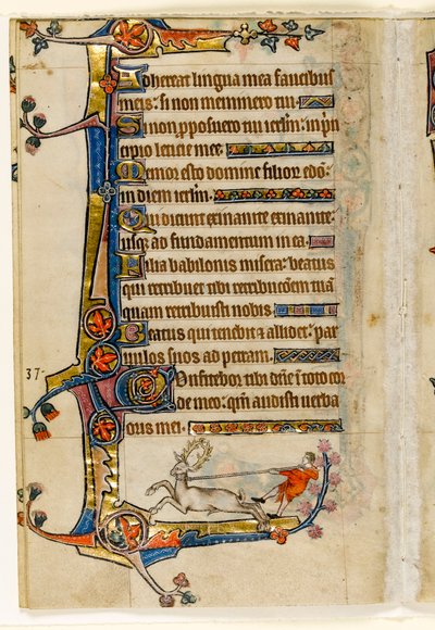 A Stag Lassoed by a Man, Marginal Decoration from the Macclesfield Psalter, Use of Sarum, East Anglia (c.1330) by English School
