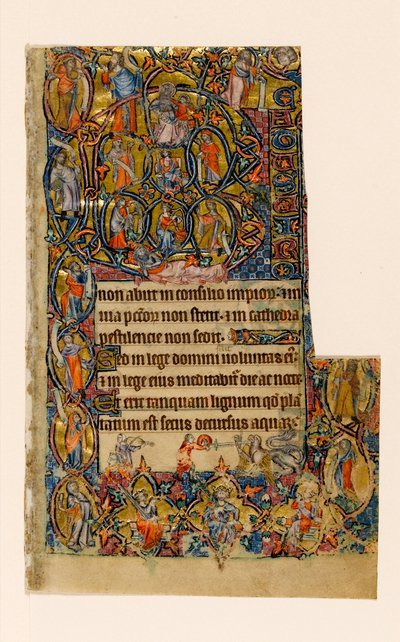 The Tree of Jesse and the Beatus Initial Border with Musician and Grotesque Combat, from the Macclesfield Psalter, Use of Sarum, East Anglia (c.1330) by English School